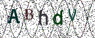 Visual Confirmation Security Code