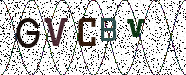 Visual Confirmation Security Code