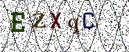 Visual Confirmation Security Code