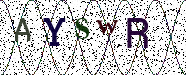 Visual Confirmation Security Code
