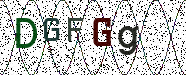 Visual Confirmation Security Code