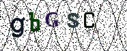 Visual Confirmation Security Code