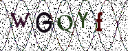 Visual Confirmation Security Code
